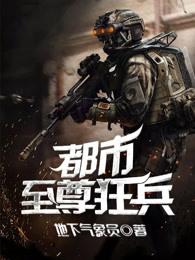 至尊狂兵在都市